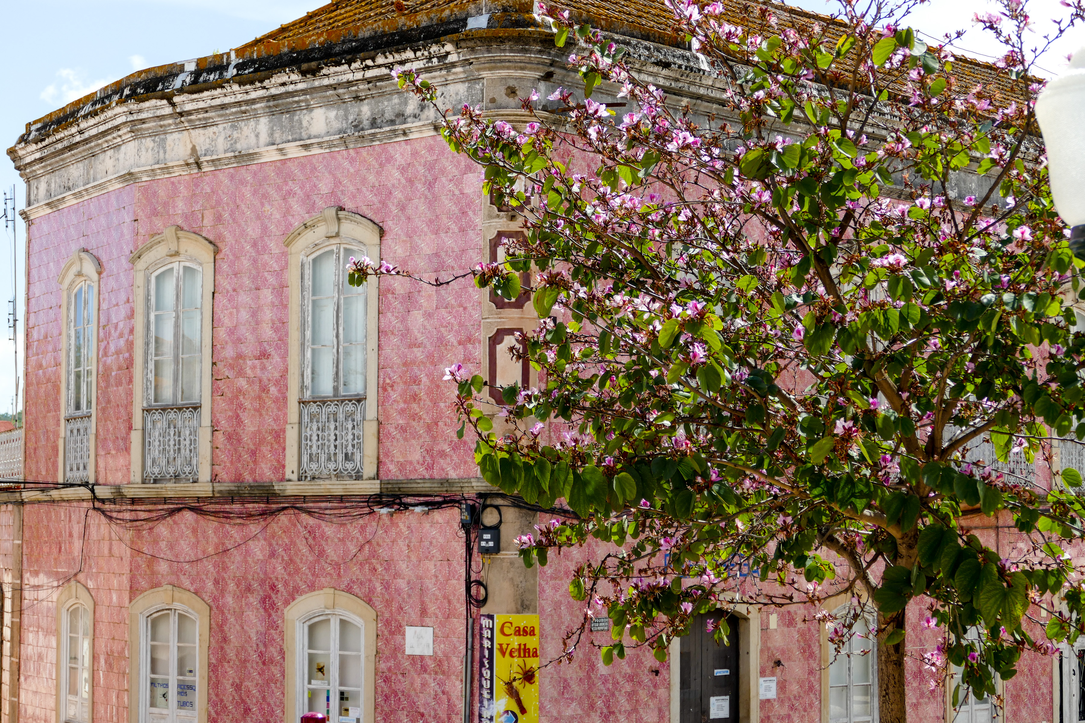 Silves